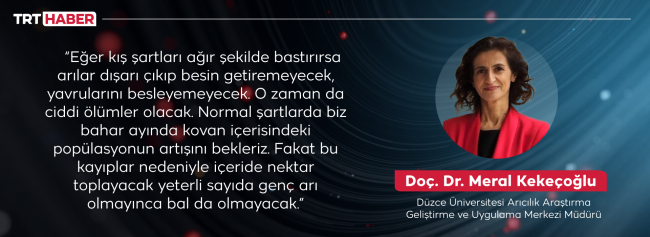 Arılar yalancı bahara aldandı: Bal üretiminde düşüş bekleniyor